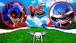 I FOUND SHIN SONIC & SONIC.EXE FIGHTING IN REAL LIFE!! (ON CAMERA)