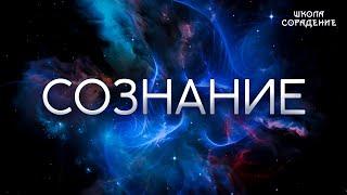 Сознание #сознание #Гарат #школаСорадение