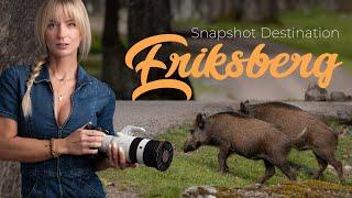 Wildlife Photography Adventure | Swedish Safari at Eriksberg