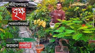 পরিবেশবান্ধব ও শোভাবর্ধনকারী গাছ ফয়সাল নার্সারিতে | Ornamental Forest Tree | Gardening Bangladesh