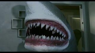 The Shark Scale: House Shark