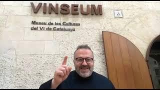 Sant Jordi, al Vinseum