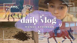 Mondi im Springtraining & Capi bei schlechten Bedingungen reiten | BinieBo Story Vlog 2