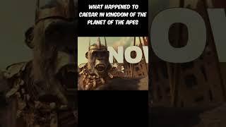 Where Is Caesar? The Shocking Truth Behind His Absence in Kingdom of the Planet of the Apes!