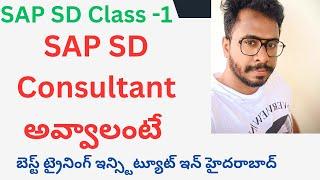 SAP SD Class in telugu 2-కన్సల్టెంట్ అవ్వాలంటే కావాల్సిన Skills ఇవే-SAP SD In telugu-SAP SD Course