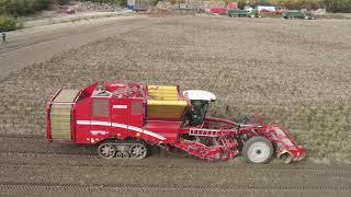 Grimme Varitron 470 Platinum of R J Wilson & Son