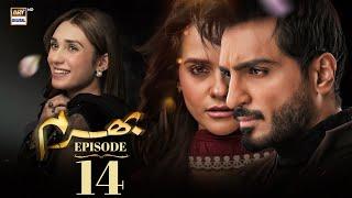 Bharam Episode 14 | Hina Tariq | Rabya Kulsoom | Omer Shahzad | 16 Dec 2024 (Eng Sub) | ARY Digital