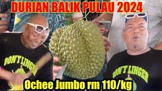 DURI HITAM JUMBO (OCHEE) RM 110/kg | DURIAN BALIK PULAU PENANG 2024 | KING STREET FRUIT MALAYSIA