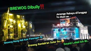 BREWOG AUDIO Dibully ‼️MEMED Awalnya Kasih Prank Dulu & Langsung Kasih Paham Semuanya