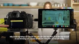 6 Lumix GH5   How to use V LOGL View Assist