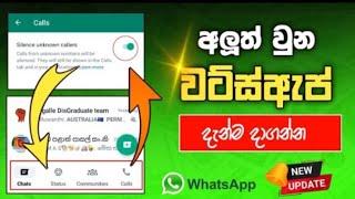 කාටත් කලින් අප්ලේට් ගමුද | whatsapp new update 2024 sinhala | Whatsapp beta version sinhala