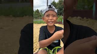 kawal artis bus telolet basuri#viral #busmania #diy #video #teloletbasuri #comedy #shorts