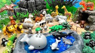 Safari World With Lego Duplo Animals | Tiger Shark Whale Lion Cow Animal toys