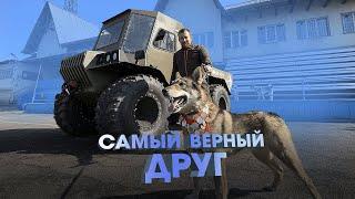 САМЫЙ ВЕРНЫЙ ДРУГ - БАЙКАЛ