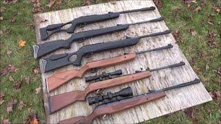 Powerful Break Barrel Pellet Rifles, Hatsan Air Guns For Fun Or Pest Control (Made in Turkey)