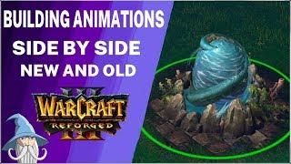 Building Construction Animations Comparison (Reforged vs Classic) | Warcraft 3 Reforged Beta