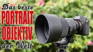 Der Bokeh King - Erfahrungsbericht & Test des Sigma 105mm 1,4 Portraitobjektivs für Sony E-Mount