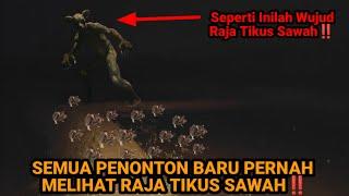 MALAM INI SEMUA PENONTON BARU MELIHAT WUJUD RAJA TIKUS