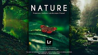 Lightroom Presets DNG & XMP Free Download | Nature Preset | Lightroom Mobile Tutorial