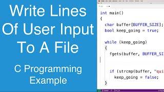 Write Lines Of User Input To A File | C Programming Example