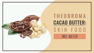 Theobroma Cacao Butter: Skin food we need - Bee Elite Essentials