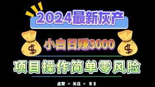 2024最新赚钱项目零成本无风险，赚钱好选择，新手小白日赚上千