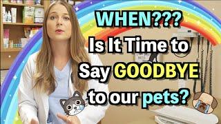 Signs it's Time to Say Goodbye: Understanding your Pet's Quality of Life! | + Euthanasia explained