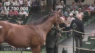 Hip 498 sells for $8.2 million at 2019 Keeneland September