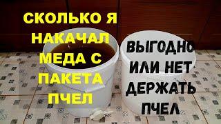 СКОЛЬКО МЕДА ПРИНЕС ПЧЕЛОПАКЕТ ЗА СЕЗОН | ВЫГОДНО ЛИ ДЕРЖАТЬ ПЧЕЛ | Пчеловодство для начинающих