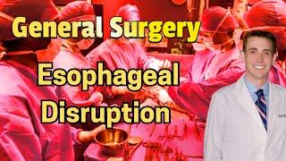 Esophageal Disruptions (updated 2024) - CRASH! Medical Review Series