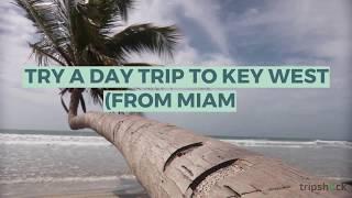 Try a Day Trip to Key West (from Miami)