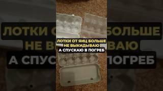 Лотки от яиц больше не выкидываю #огород #дача #сад