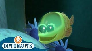 Octonauts - The Fish That Glows in the Dark | Full Episodes | Cartoons for Kids