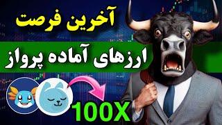 آخرین فرصت برای پولدار شدن  پنج ارز دیجیتال آماده رشد های نجومی ( بهترین برای خرید  )