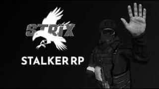 Котенок в мире дейза?| Strix Stalker RP | #dayz #strixrp