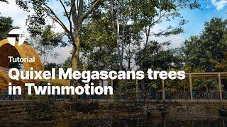 Import Quixel Megascans trees in Twinmotion | Twinmotion Tutorial