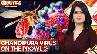 Gravitas: Chandipura Virus is killing children across India. Here's all about it | World News | WION