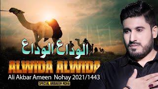 Bhai Ki Qabr Pe Keh Rahi Thi Behen Alwida Alwida | New Noha 2021 | Ali Akbar Ameen Noha 2021 | Nohay