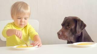 The Funniest Baby and Dog Duo Returns!