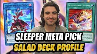 Kyle's Post Banlist SALAMANGREAT Deck Profile (Best Non-Meta Yu-Gi-Oh Deck?)