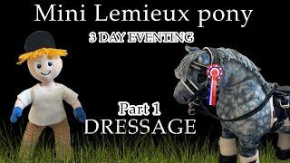 Mini Lemieux Pony 3 DAY EVENTING: day 1 DRESSAGE