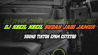 DJ KECIL KECIL SUDAH JADI JAMUR sound tiktok epam estetod