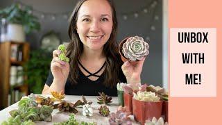 Unboxing Succulents (With Names!)  // Angels Grove Gardening | The Next Gardener | SIPSBY