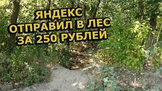 Яндекс Еда Отправил Курьера в Лес за 250 рублей Работа Курьером на Электросамокате Сколько Заработал