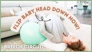 6 EXERCISES to MAKE BABY TURN HEAD DOWN! Breech Circuit