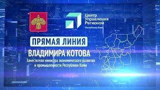 Прямая линия. Владимир Котов. 01.02.23