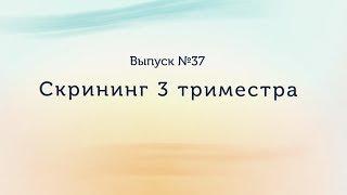 3 скрининг при беременности