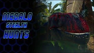 Fresh Born To Elder Megalo Stealth Hunts | Beasts of Bermuda