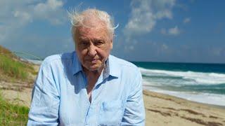 David Attenborough's Closing Speech | Blue Planet II | BBC Earth