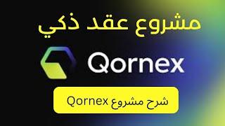 مشروع Qornex من أفضل مشاريع العقود الذكية